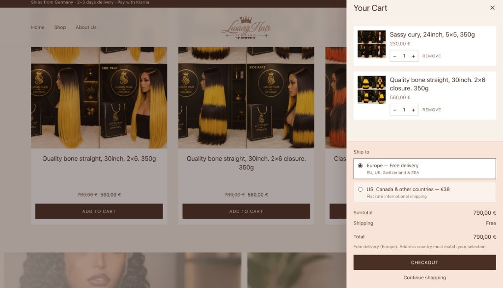 Shopping cart drawer with shipping options and checkout